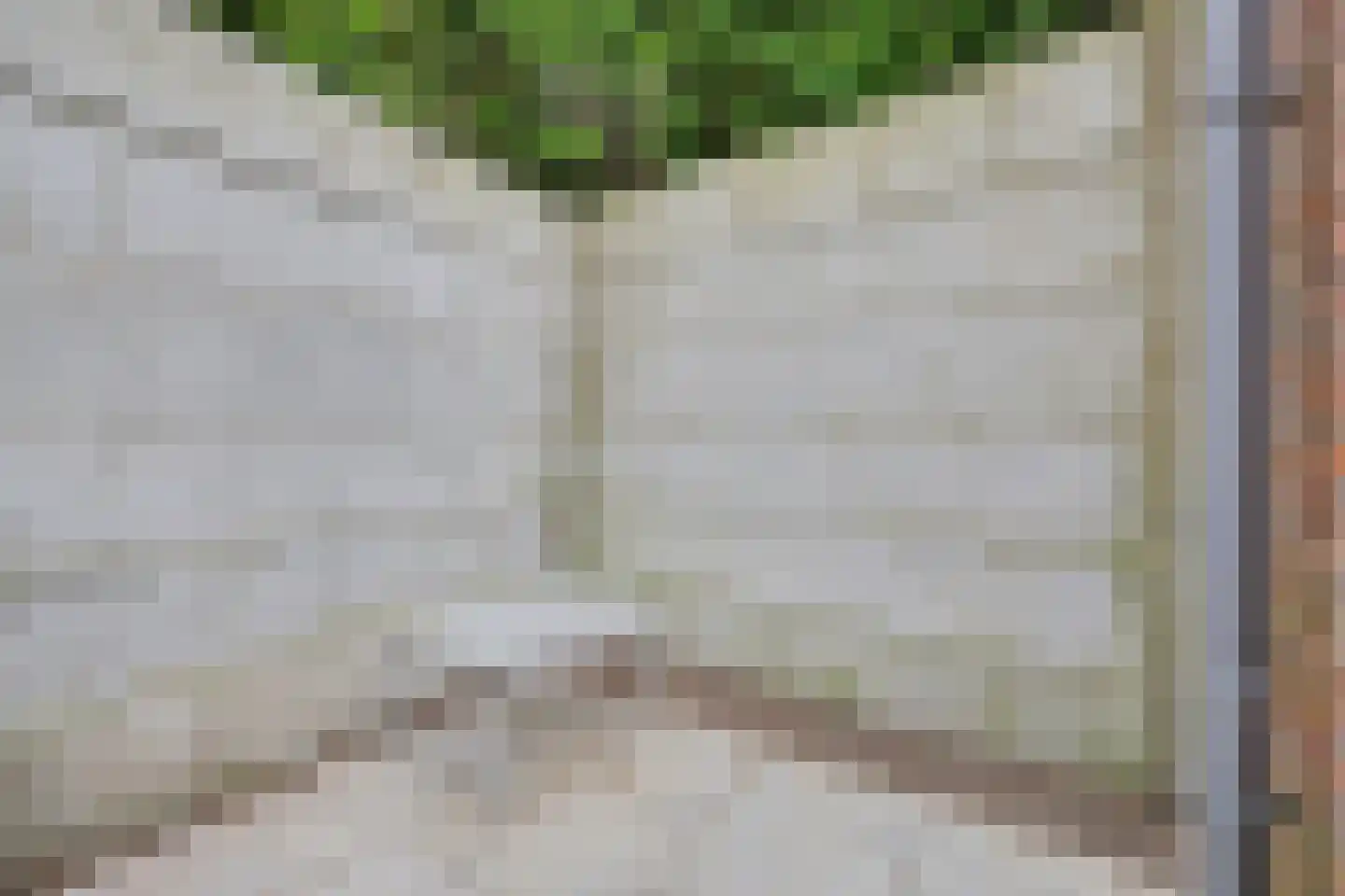 Houtse Heuvel 44 A Den Hout thumbnail 18