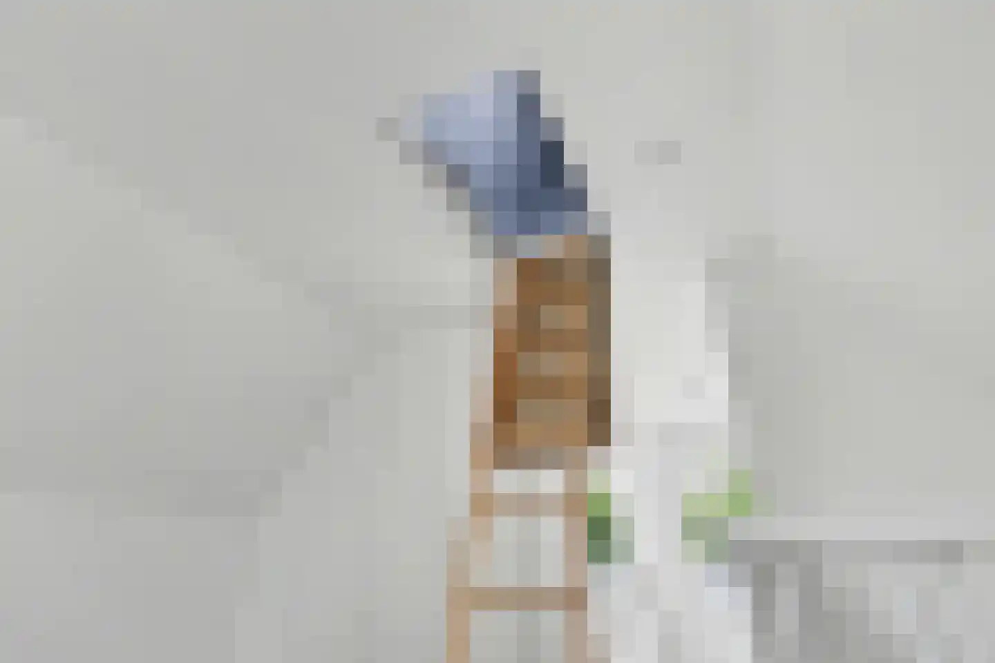 Houtse Heuvel 44 A Den Hout thumbnail 23