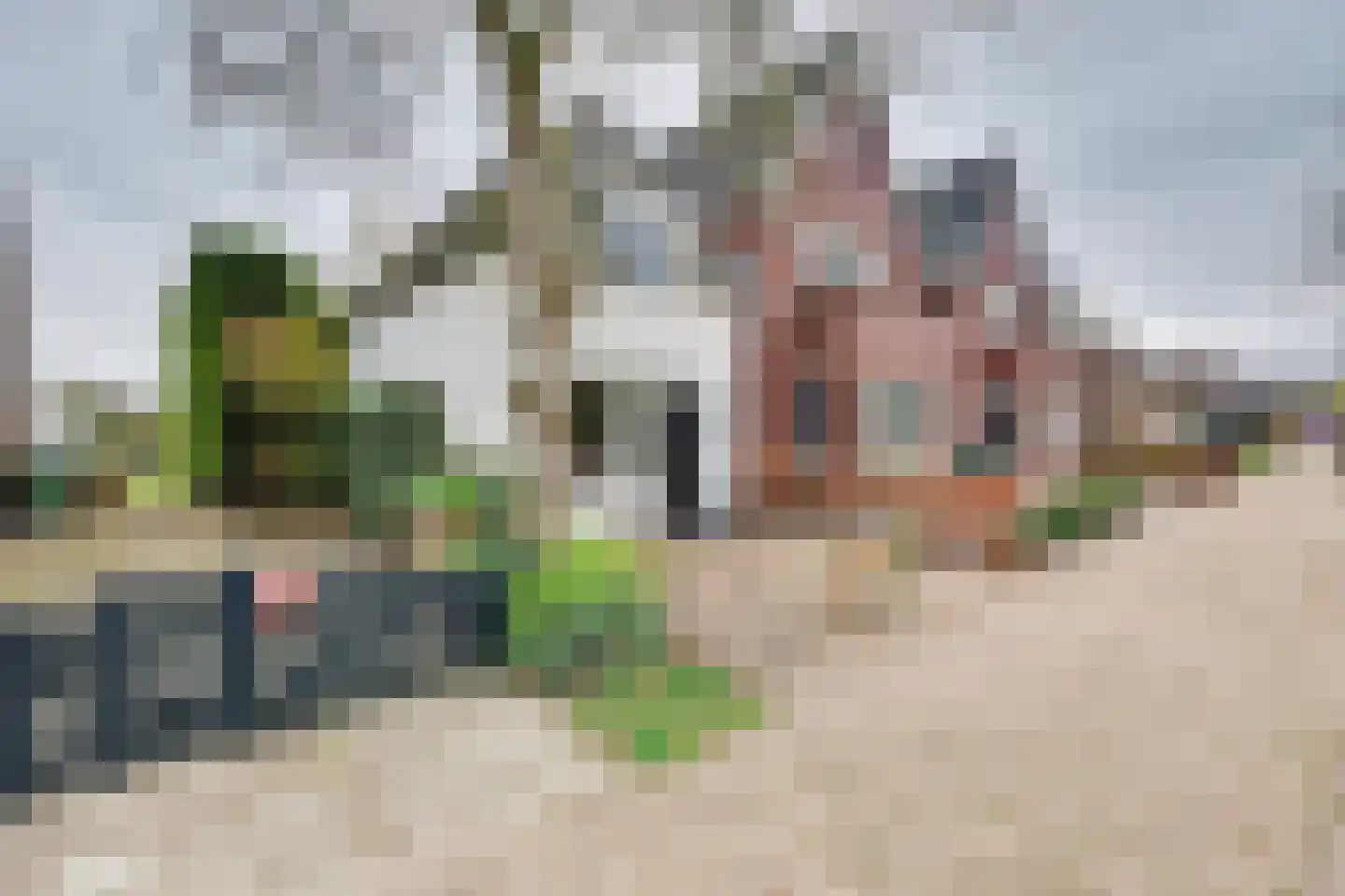 Houtse Heuvel 44 A Den Hout thumbnail 7