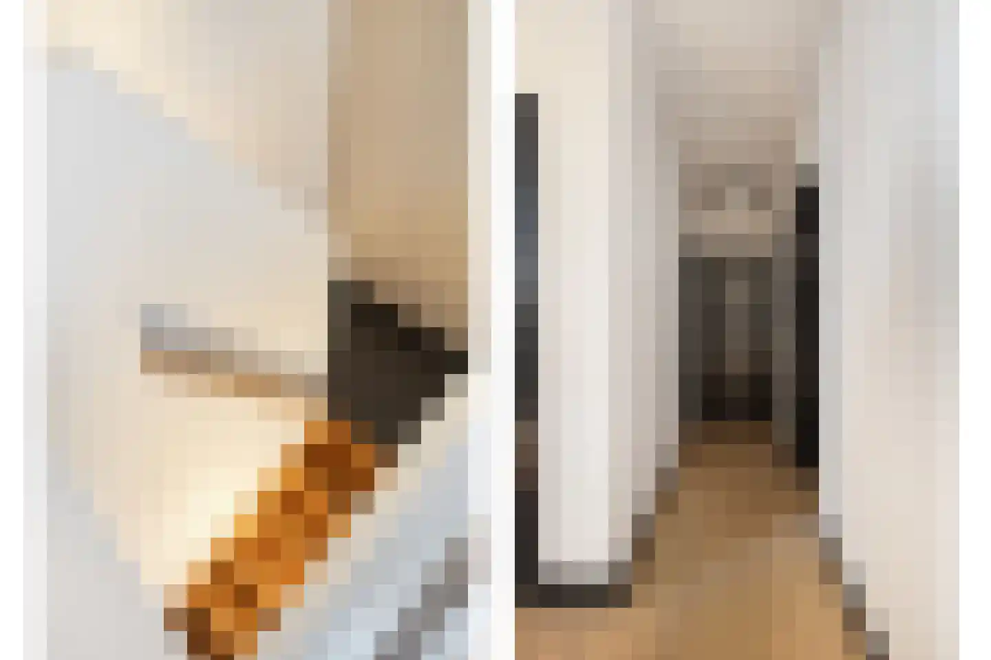 Houtse Heuvel 47 Den Hout thumbnail 23
