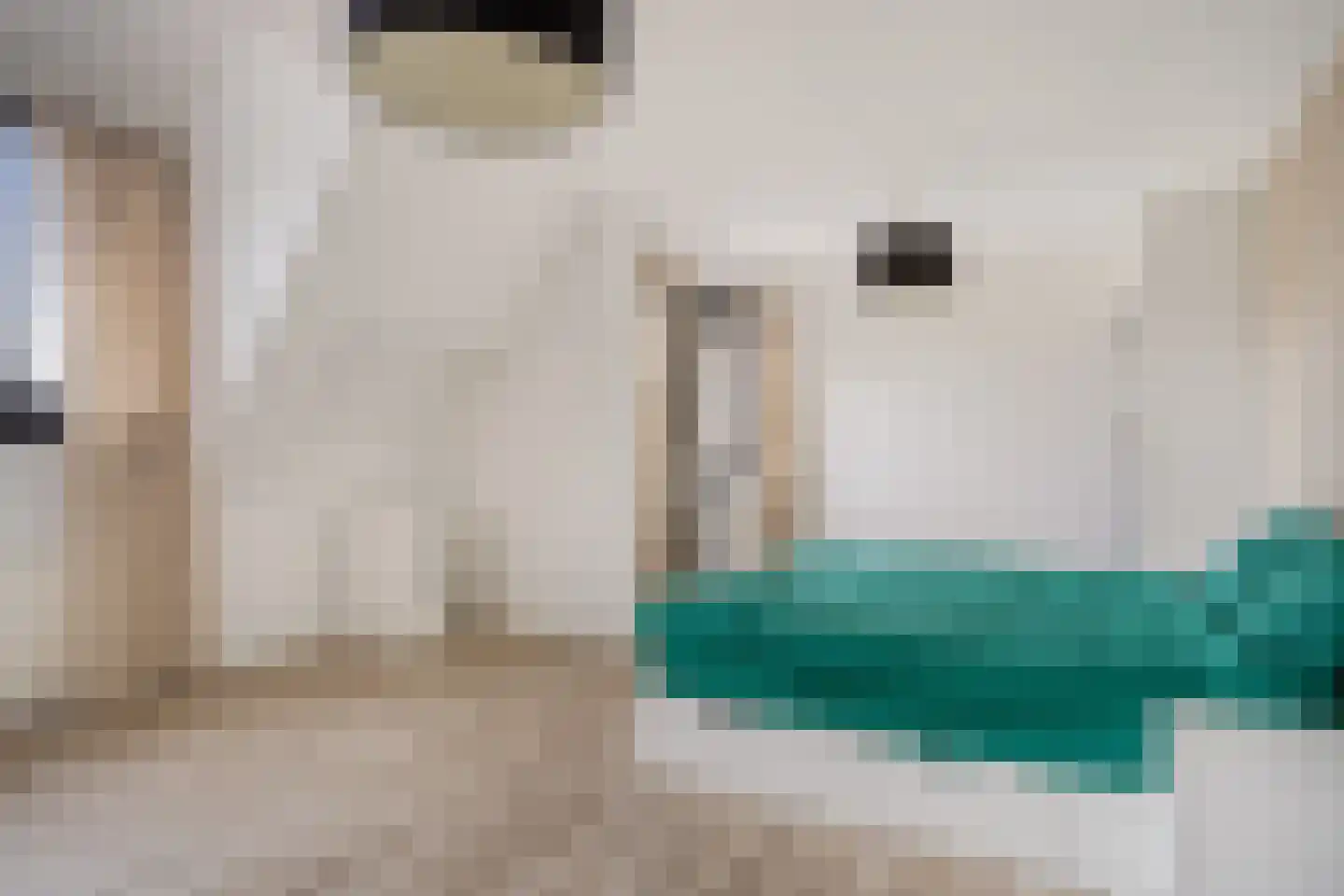 Houtse Heuvel 47 Den Hout thumbnail 27
