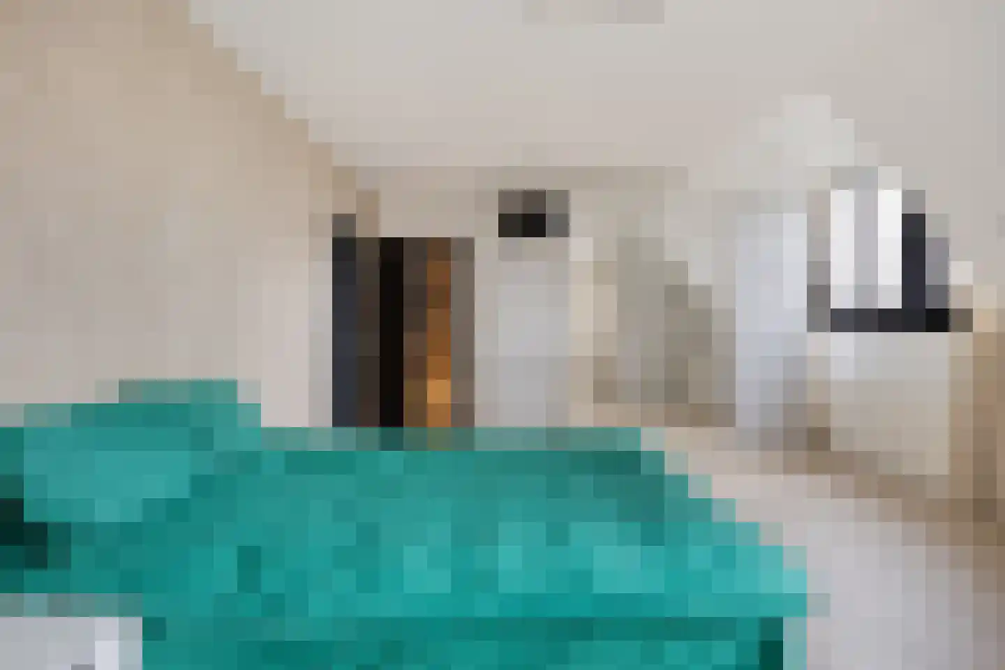 Houtse Heuvel 47 Den Hout thumbnail 28