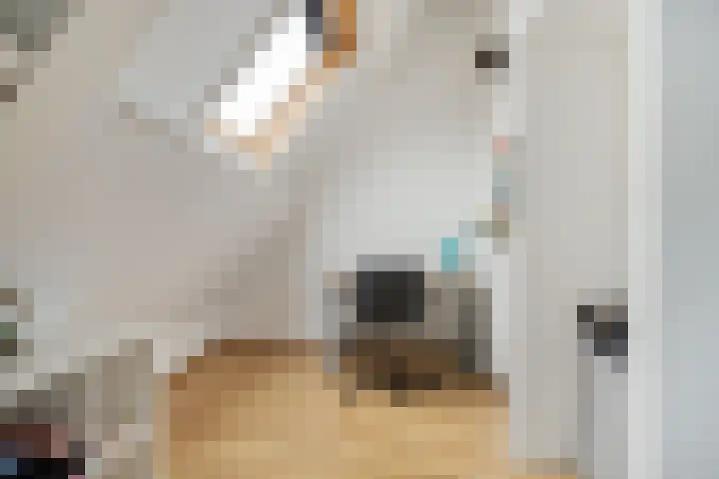 Houtse Heuvel 47 Den Hout thumbnail 38