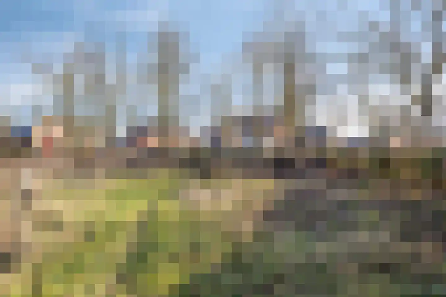 Houtse Heuvel 47 Den Hout thumbnail 41