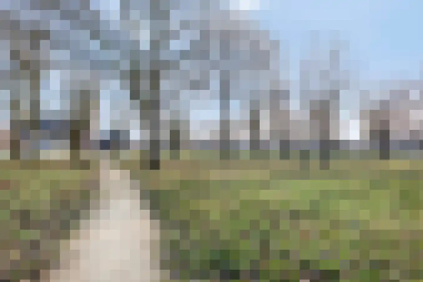 Houtse Heuvel 47 Den Hout thumbnail 43