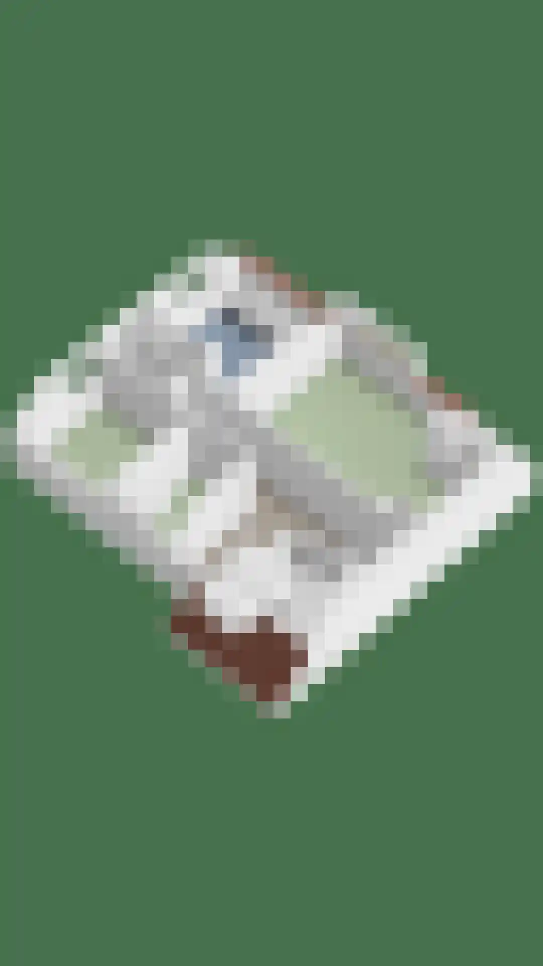 Houtse Heuvel 47 Den Hout thumbnail 52