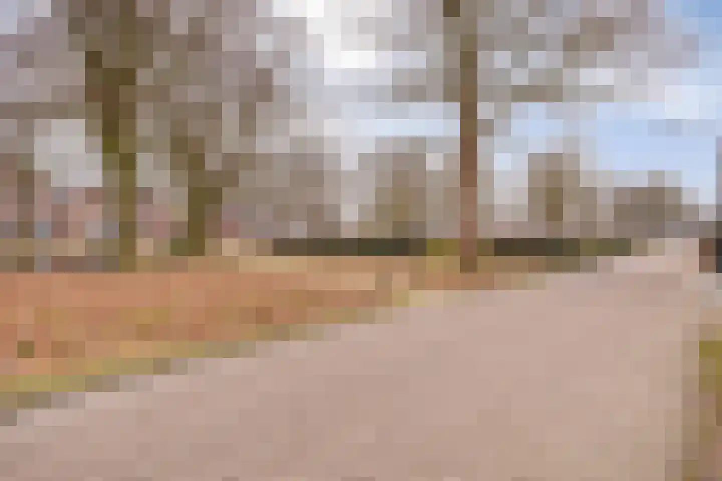 Houtse Heuvel 47 Den Hout thumbnail 7