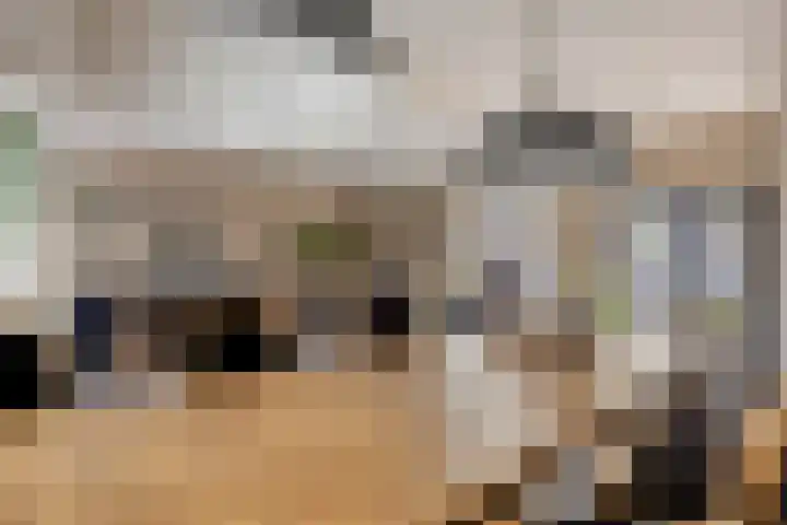 Houtse Parallelweg 115 Helmond thumbnail 18