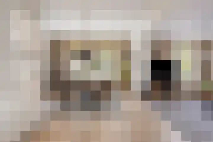 Houtse Parallelweg 115 Helmond thumbnail 21