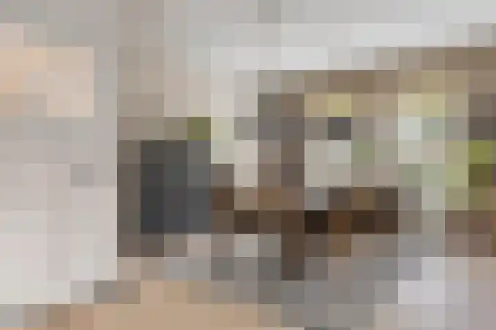 Houtse Parallelweg 115 Helmond thumbnail 22