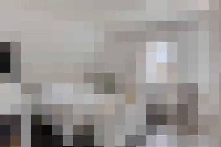 Houtse Parallelweg 115 Helmond thumbnail 34