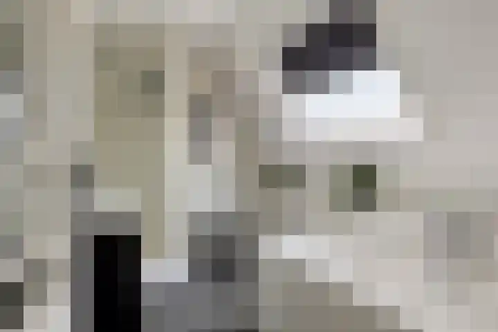 Houtse Parallelweg 115 Helmond thumbnail 36