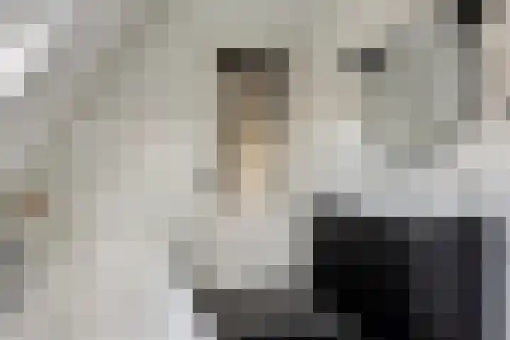 Houtse Parallelweg 115 Helmond thumbnail 37
