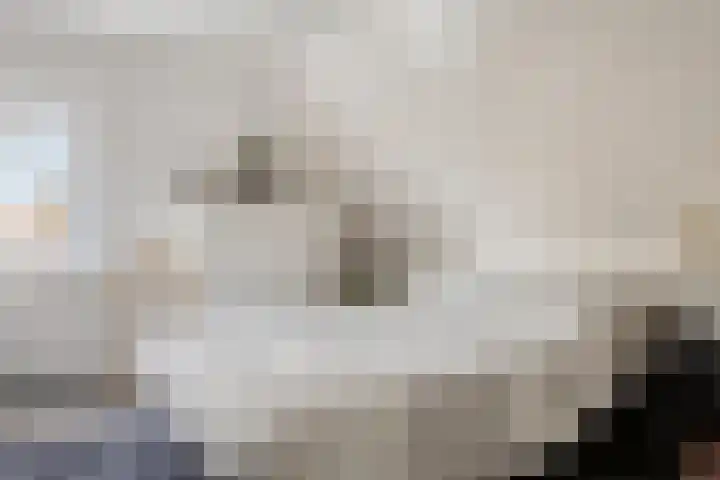 Houtse Parallelweg 115 Helmond thumbnail 39