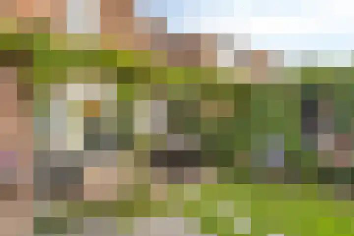 Houtse Parallelweg 115 Helmond thumbnail 46