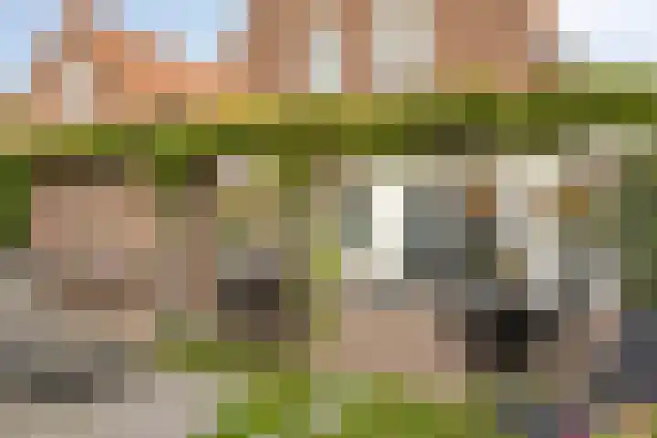 Houtse Parallelweg 115 Helmond thumbnail 47