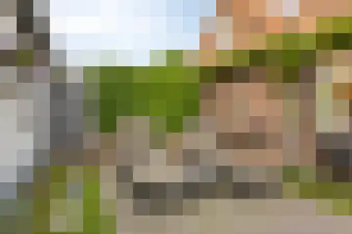 Houtse Parallelweg 115 Helmond thumbnail 48