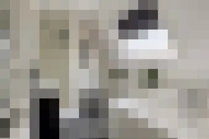 Houtse Parallelweg 115 Helmond thumbnail 5