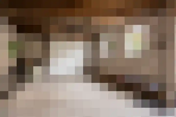 Houtse Parallelweg 115 Helmond thumbnail 53