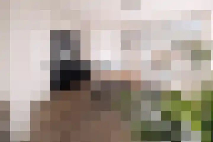 Houtse Parallelweg 46 Helmond thumbnail 10