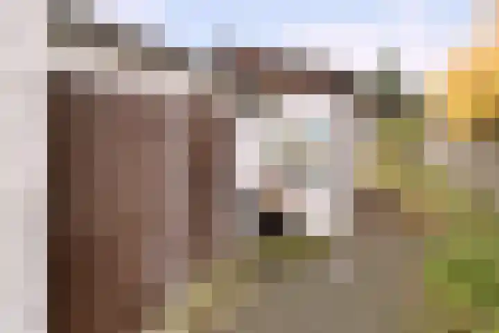 Houtse Parallelweg 46 Helmond thumbnail 25