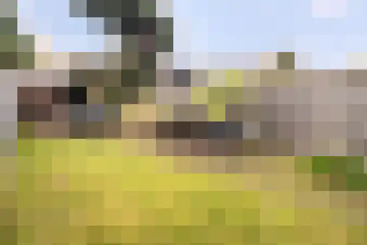 Houtse Parallelweg 46 Helmond thumbnail 4