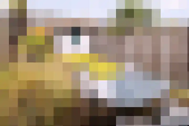 Houtse Parallelweg 46 Helmond thumbnail 5