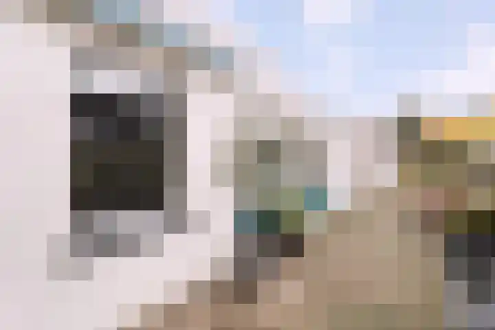 Houtse Parallelweg 46 Helmond thumbnail 6