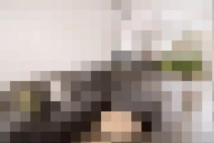 Houtse Parallelweg 46 Helmond thumbnail 9