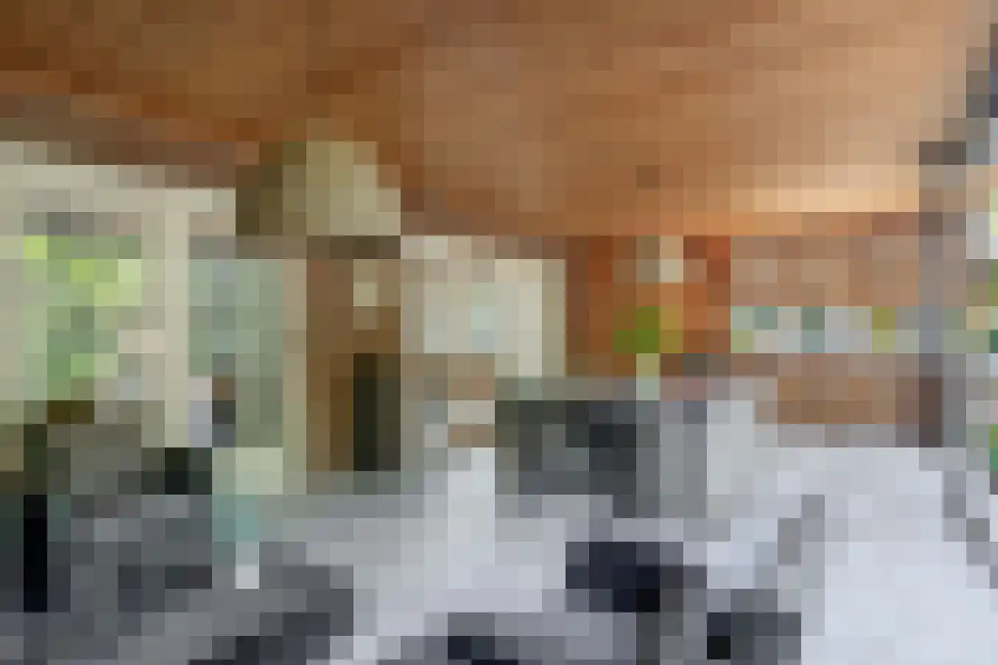 Houtse Parallelweg 73 Helmond thumbnail 24