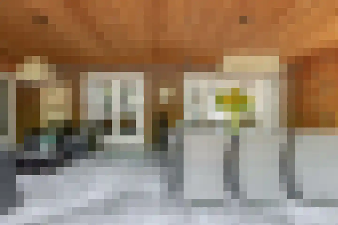 Houtse Parallelweg 73 Helmond thumbnail 25