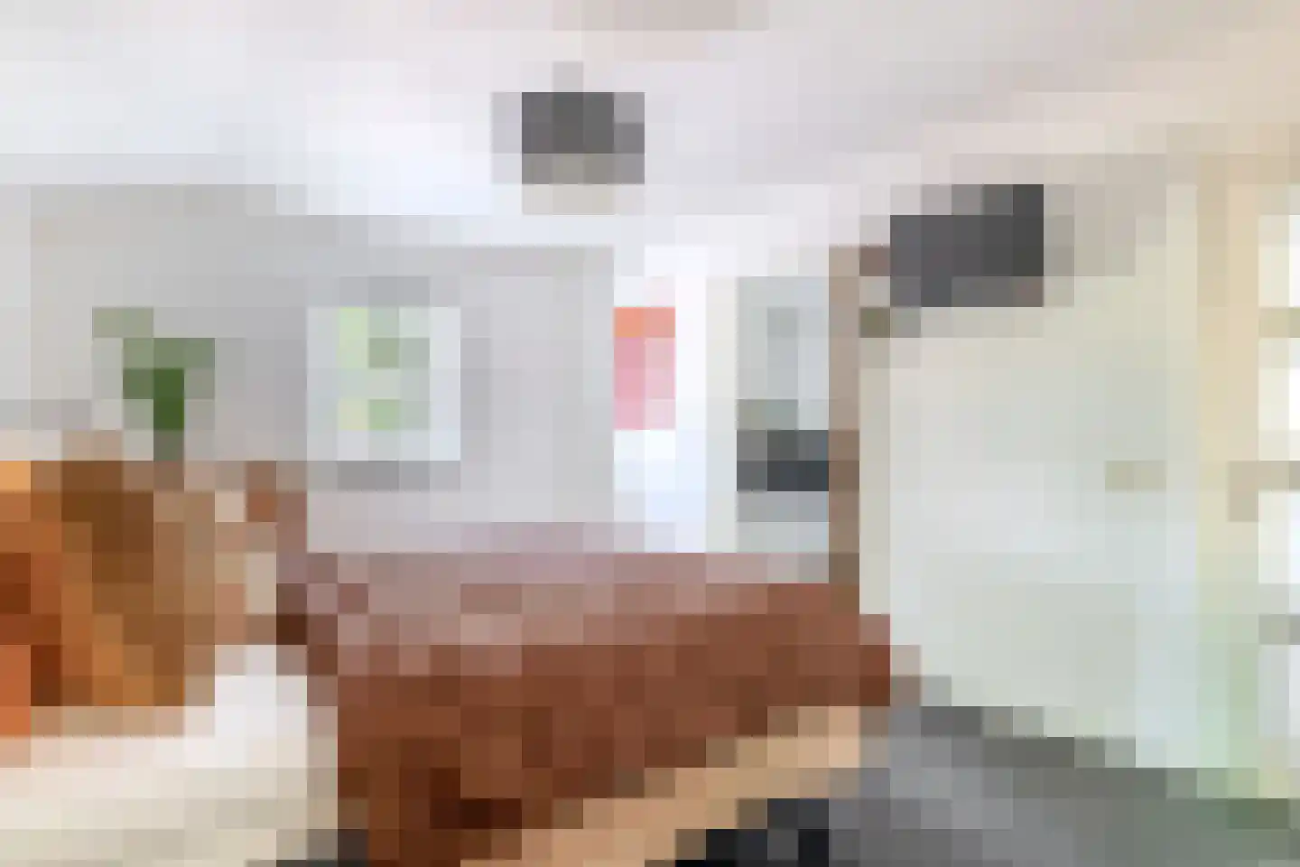 Houtse Parallelweg 73 Helmond thumbnail 32