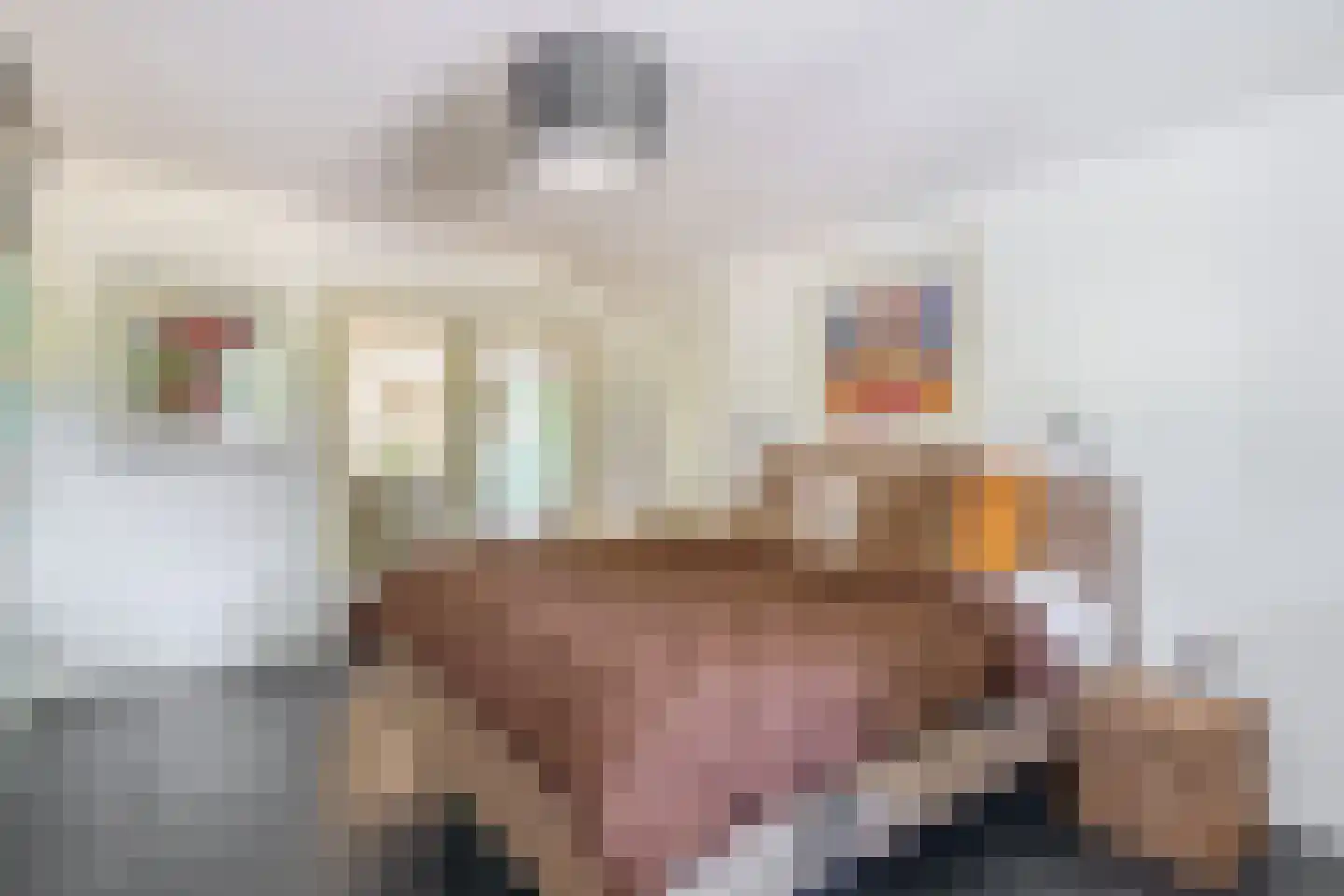Houtse Parallelweg 73 Helmond thumbnail 33