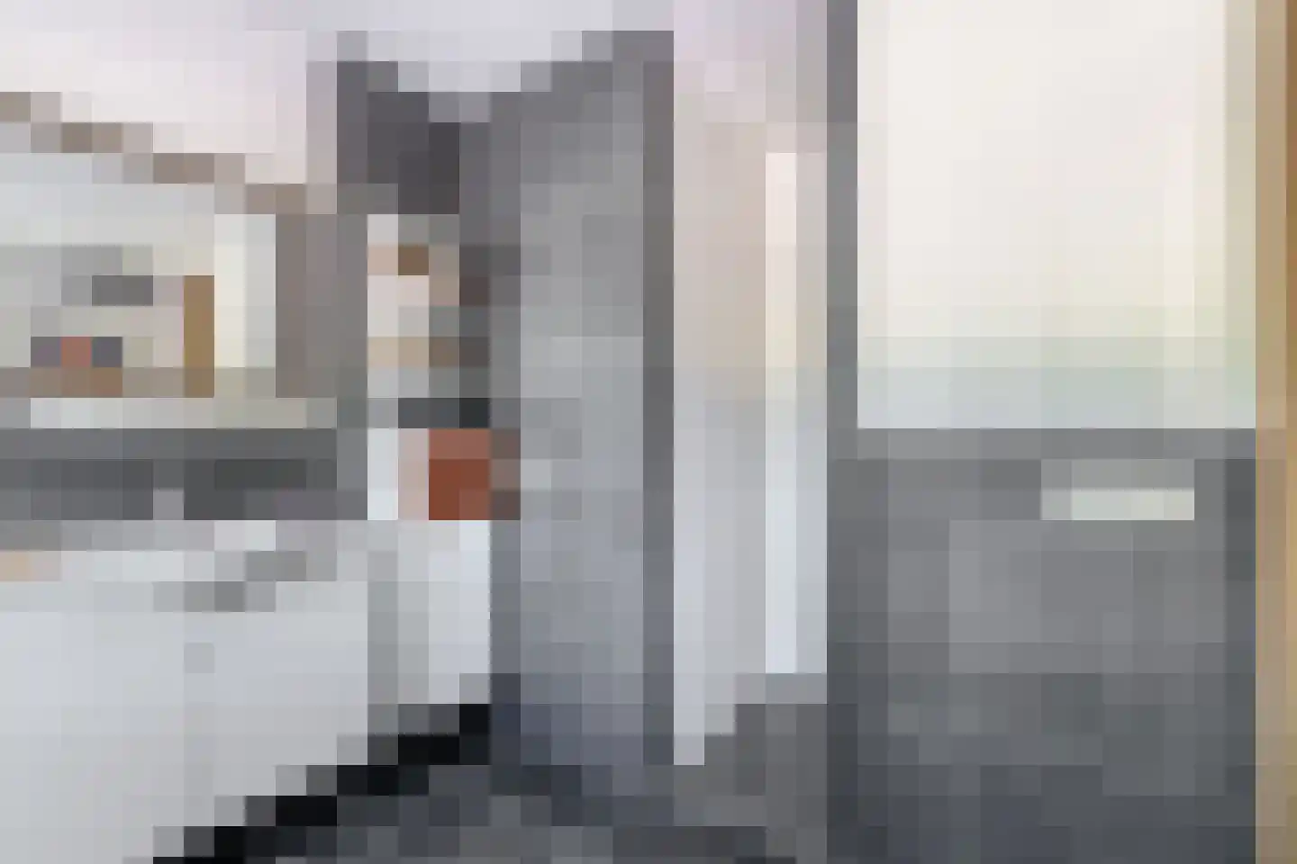 Houtse Parallelweg 73 Helmond thumbnail 35