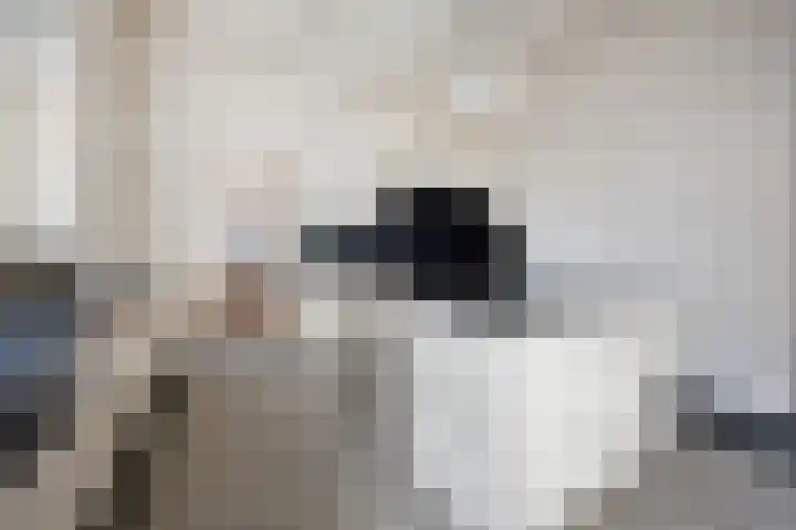 Houtsestraat 1 A Puiflijk thumbnail 14