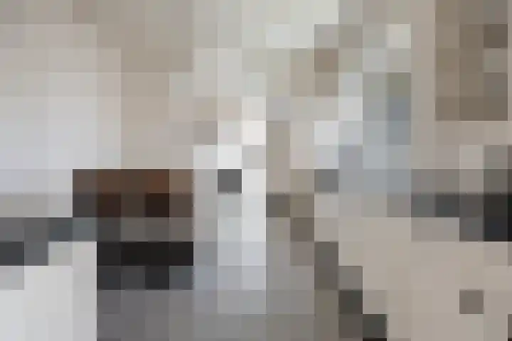 Houtsestraat 1 A Puiflijk thumbnail 18