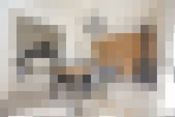 Houtsestraat 1 A Puiflijk thumbnail 21