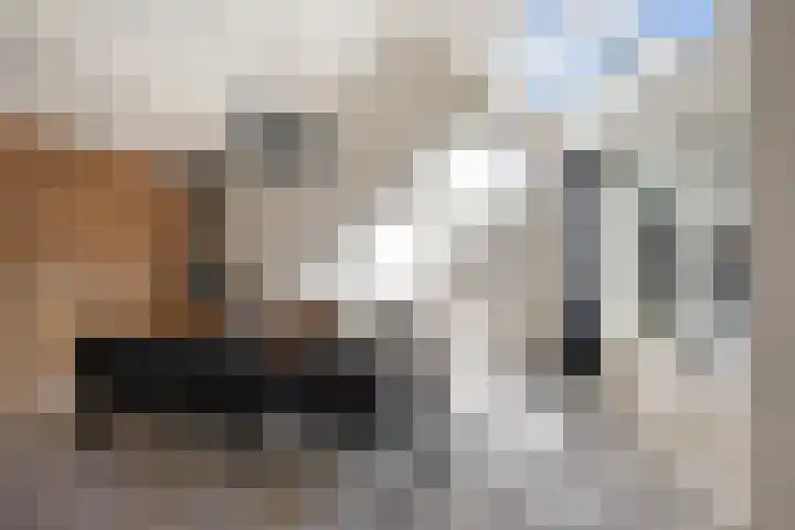 Houtsestraat 1 A Puiflijk thumbnail 22