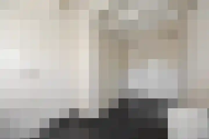 Houtsestraat 1 A Puiflijk thumbnail 25