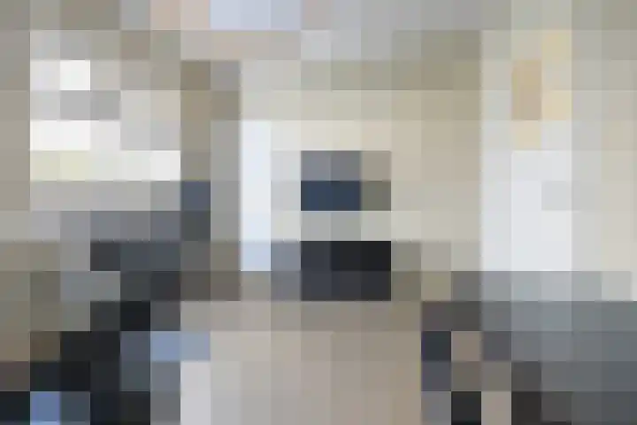 Houtsestraat 1 A Puiflijk thumbnail 28