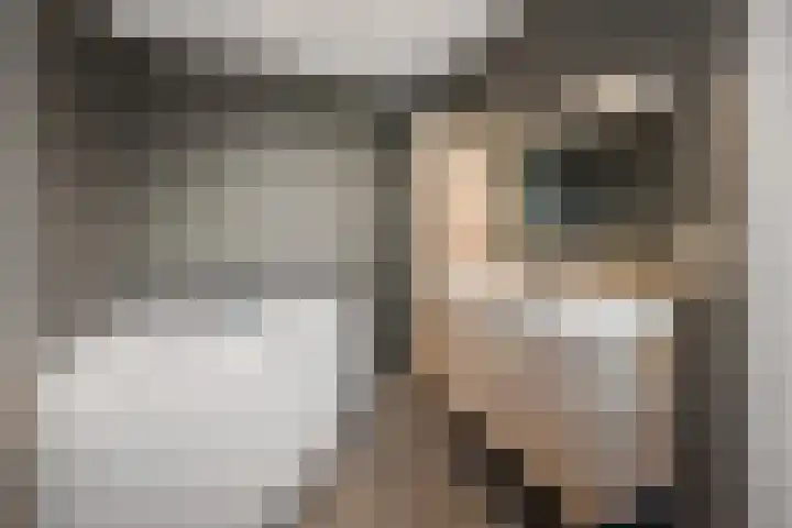 Houtsestraat 1 A Puiflijk thumbnail 30