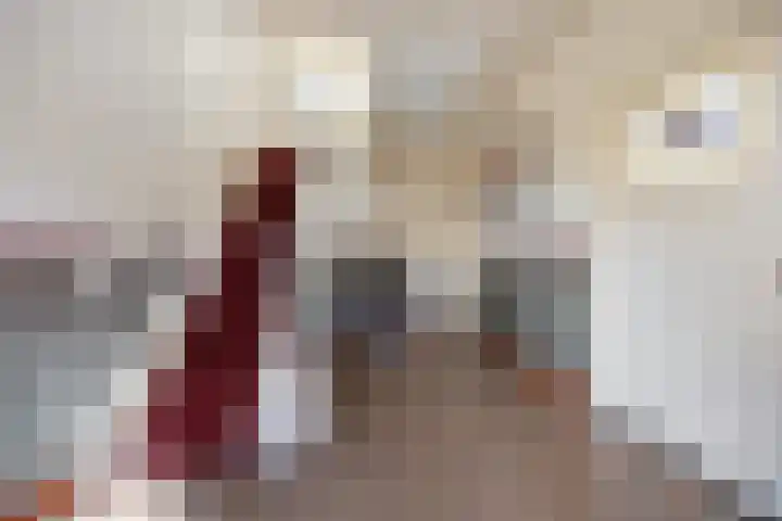 Houtsestraat 1 A Puiflijk thumbnail 36