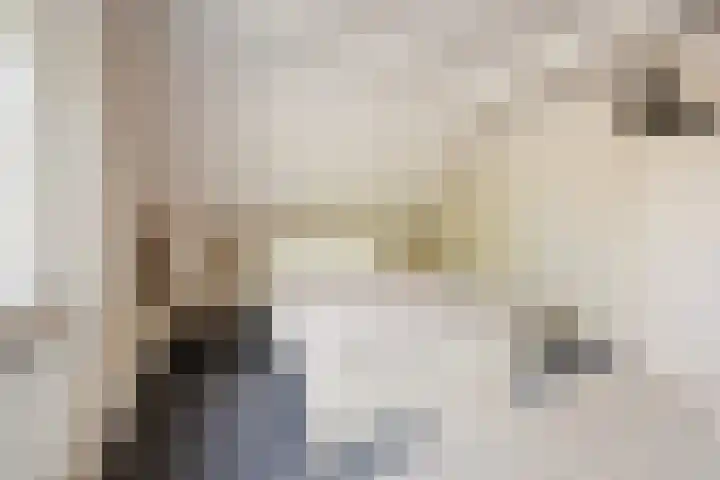Houtsestraat 1 A Puiflijk thumbnail 47