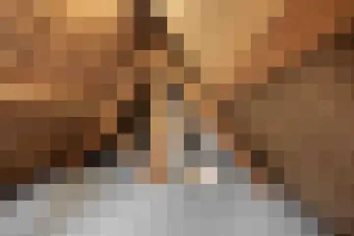 Houtsestraat 1 A Puiflijk thumbnail 54