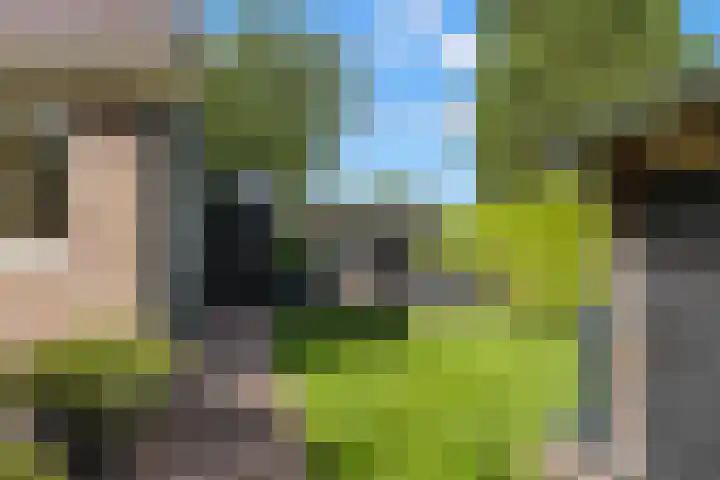 Houtsestraat 1 A Puiflijk thumbnail 62
