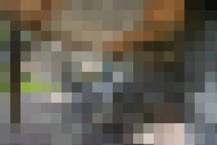 Houtsestraat 1 A Puiflijk thumbnail 66