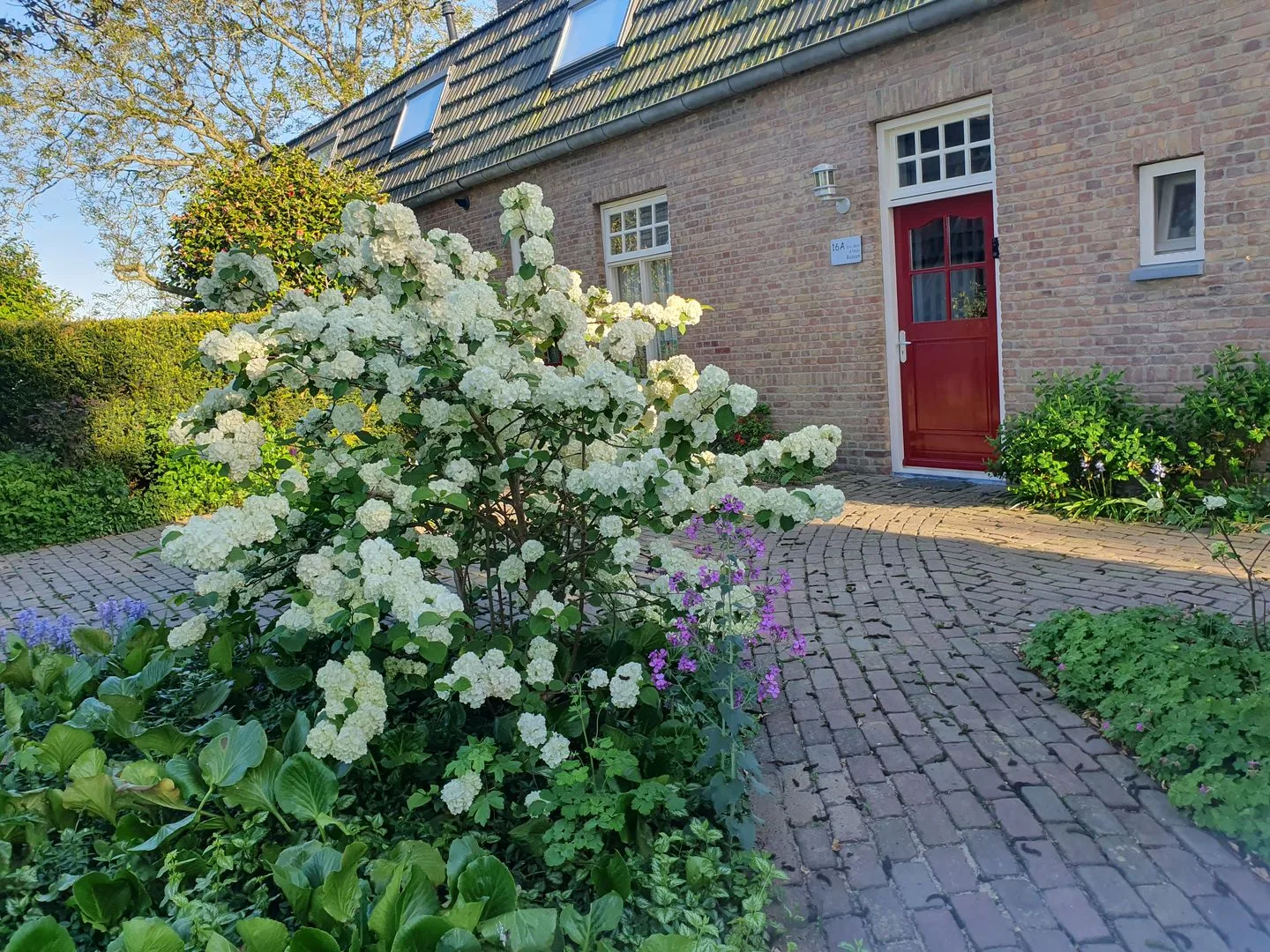Houtsestraat 16 A Balgoij thumbnail 8