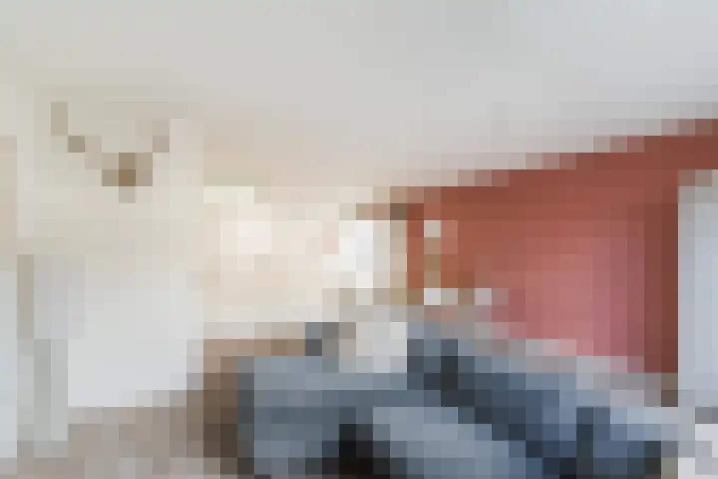 Houtsingel 117 Zoetermeer thumbnail 14