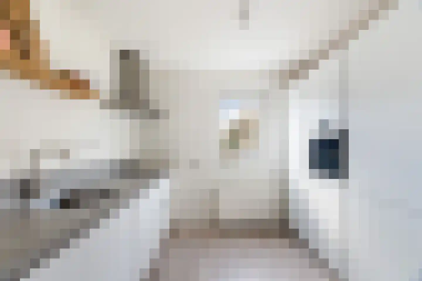 Houtsingel 117 Zoetermeer thumbnail 17