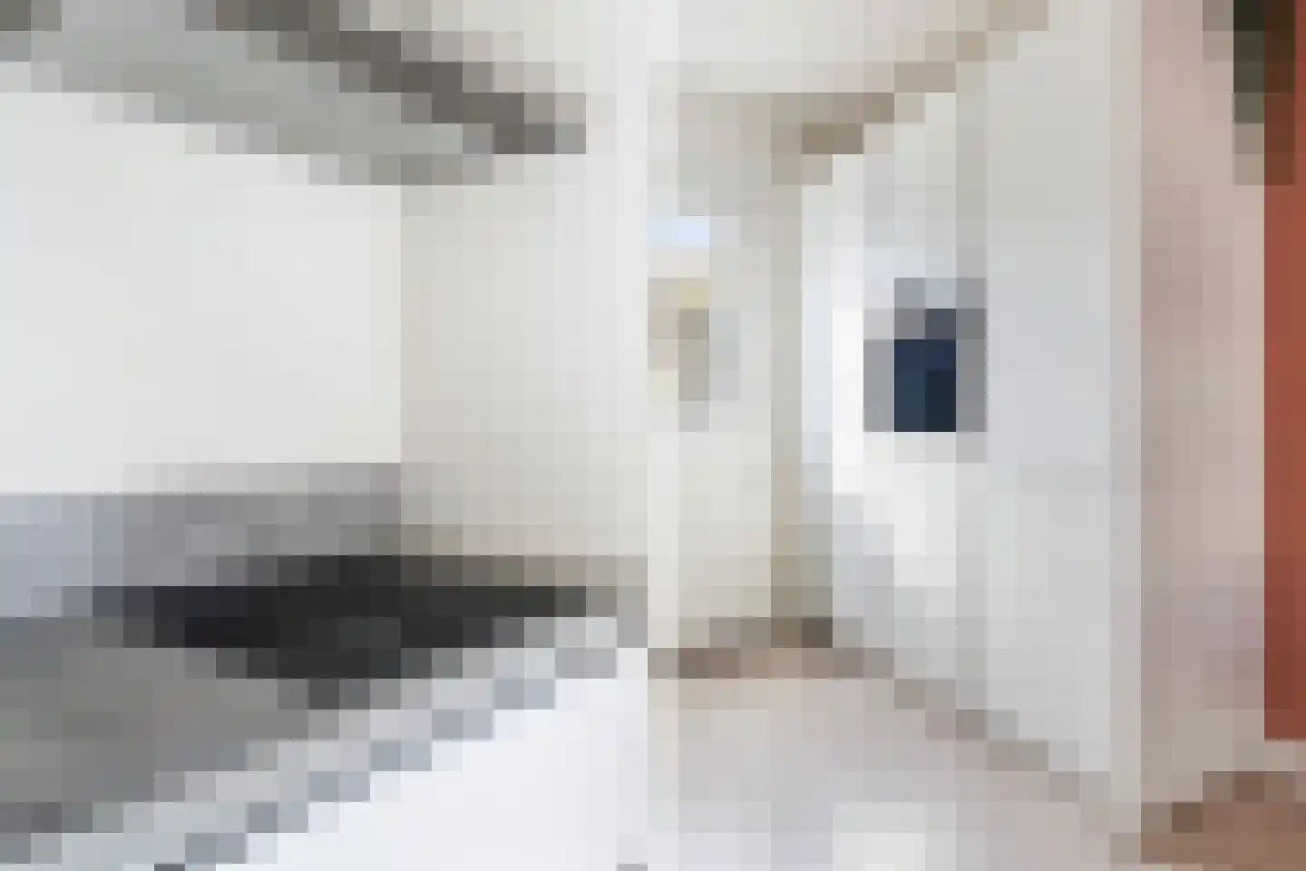 Houtsingel 117 Zoetermeer thumbnail 18